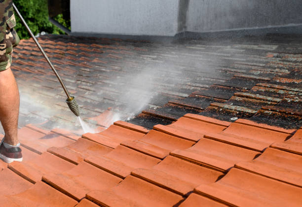 Best Affordable Pressure Washing  in Bridgeport, TX
