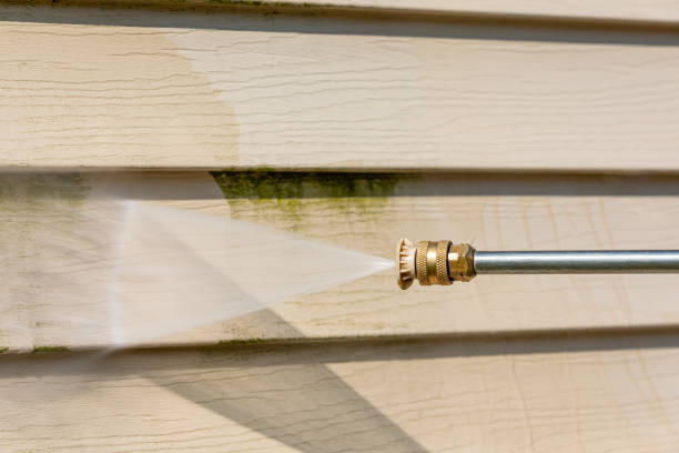 Best Power Washing Near Me  in Bridgeport, TX